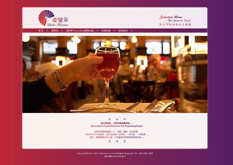 国外品牌葡萄酒中国官网建设成功案例